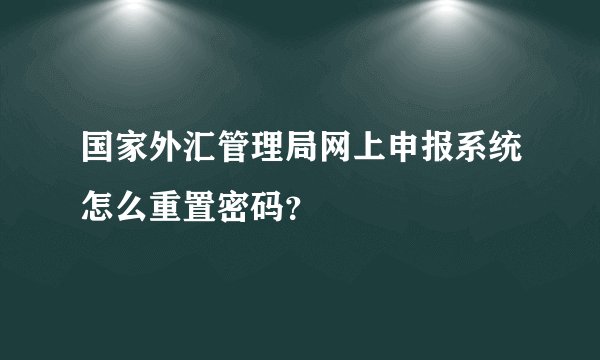 国家外汇管理局网上申报系统怎么重置密码？
