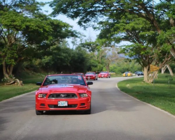 老公话痨妻子开车分神撞上护栏，这种行为有多危险？