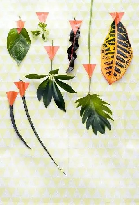 用室内植物搭配家居环境，让“清凉绿意”暴走！