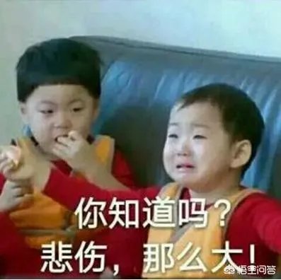 程序员高手和程序员菜鸟的区别是什么？