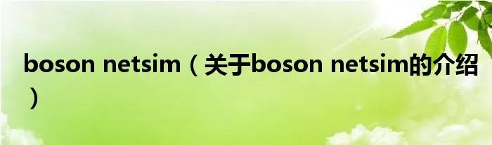 boson netsim（关于boson netsim的介绍）