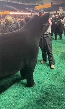 神似梅西男子被民众围堵合影 都想要甜头的动态图