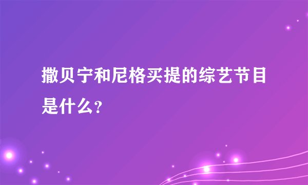 撒贝宁和尼格买提的综艺节目是什么？