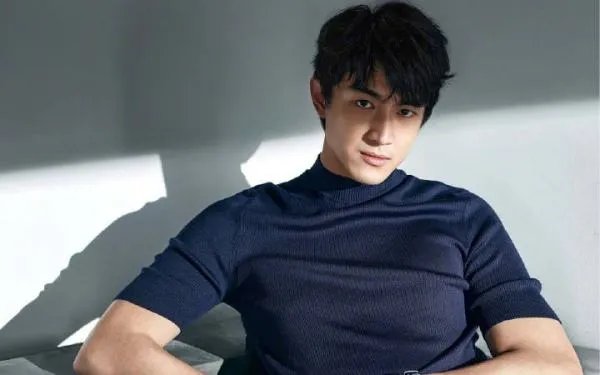 林更新都拍过哪些电视剧？演技如何？