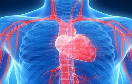 请问心跳每分钟66，属于正常吗