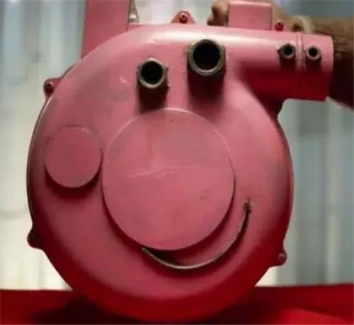 啥是佩奇指的是什么