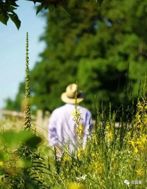 庭院风格之欧式庭院
