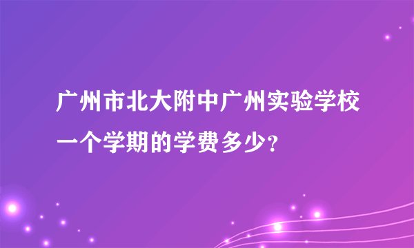 广州市北大附中广州实验学校一个学期的学费多少？