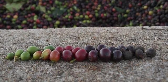 网上哪里买咖啡便宜最实惠？