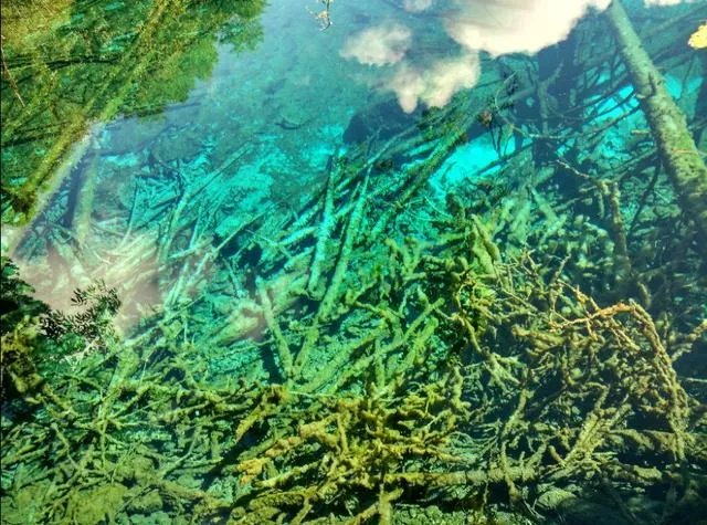 九寨沟地震过后又形成新的景点，你还会去吗？