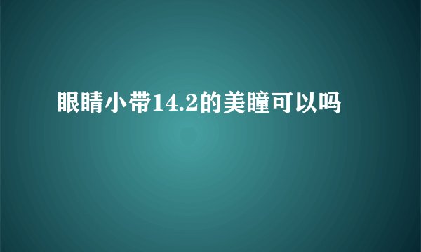 眼睛小带14.2的美瞳可以吗