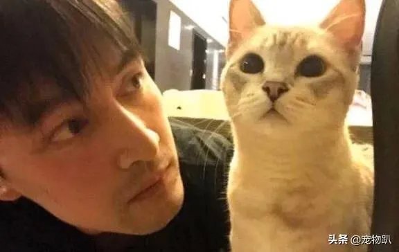 你知道哪些明星，在家养有什么样的宠物呢？