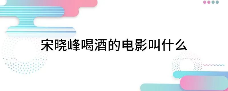 宋晓峰喝酒的电影叫什么