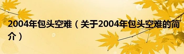 2004年包头空难（关于2004年包头空难的简介）