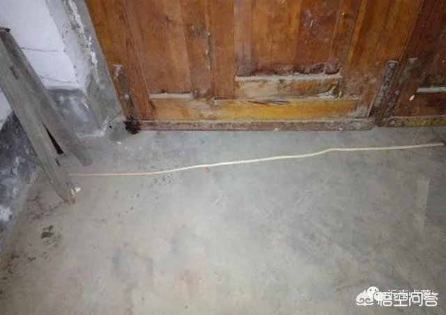 在农村过年时，门口横放一棵高粱秸什么用意？