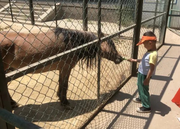 兰州野生动物园的一辆观光车侧翻,多人掉下深沟,目前救援情况如何?