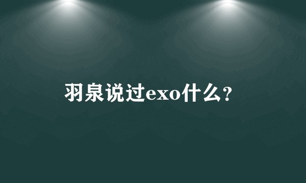 羽泉说过exo什么？