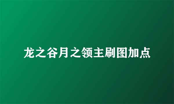 龙之谷月之领主刷图加点