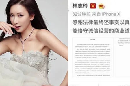 林志玲侵权案胜诉 感谢律师还原真相
