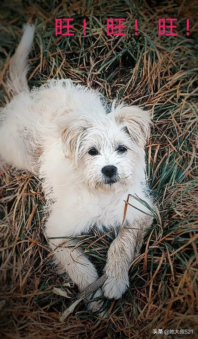 警方通报女子被丈夫掌掴23次后吐血，受害者该如何保护自己？