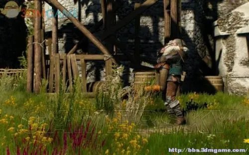 巫师3图文攻略 全剧情图文攻略下篇