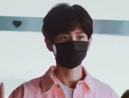 《与君歌》定档了吗 该剧一共有多少集