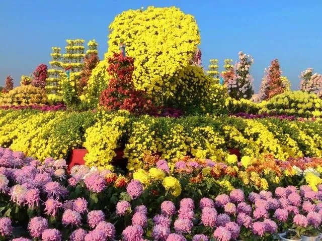 怎么从白莲花的外表看出绿茶婊的心?