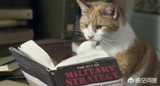 上联:戏演古今情，善恶忠奸收眼底，请对下联？