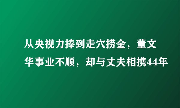 从央视力捧到走穴捞金，董文华事业不顺，却与丈夫相携44年