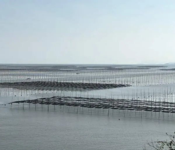 霞浦旅游十大景点介绍
