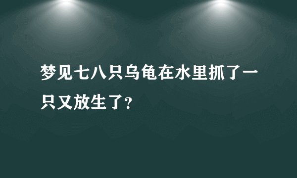 梦见七八只乌龟在水里抓了一只又放生了？