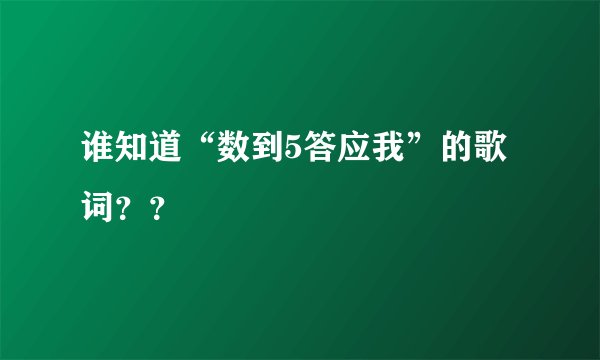 谁知道“数到5答应我”的歌词？？