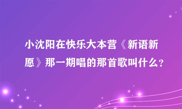 小沈阳在快乐大本营《新语新愿》那一期唱的那首歌叫什么？