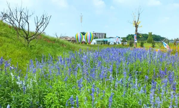 蔚然花海好玩吗？