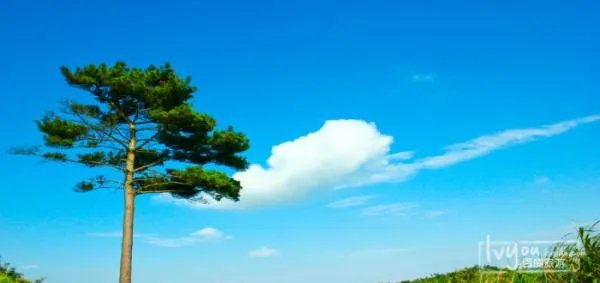 霞浦旅游十大景点介绍