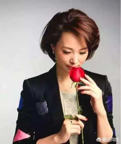 央视一姐董卿当众下跪，到底怎么了？