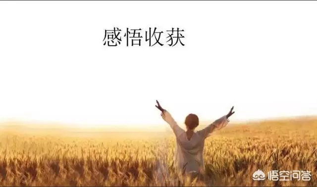 中国女足集体为输日本道歉:对不起球迷，绝非技不如人。你怎么看？