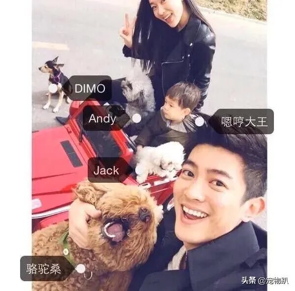 你知道哪些明星，在家养有什么样的宠物呢？