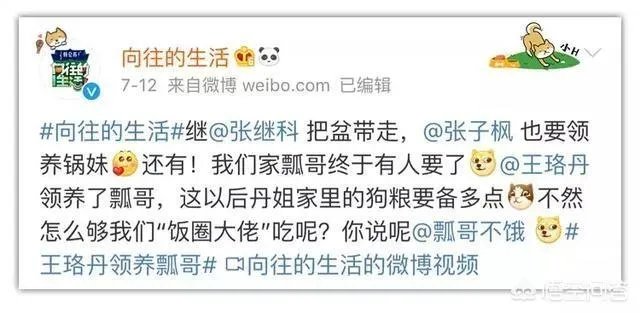 为什么《向往的生活》里柴犬“瓢哥”最火？