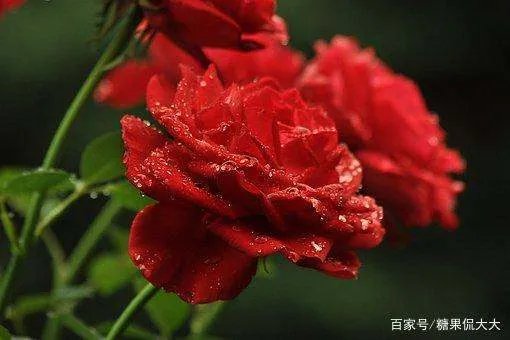 结婚10年，枕边人不是心上人，你怎么看？