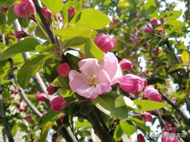 今年五一天津人能跨省旅游吗？