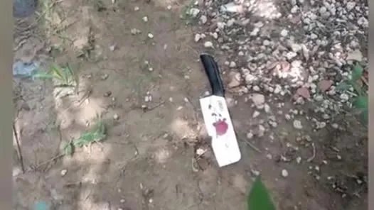 三把菜刀从天而降：是谁扔的菜刀及背后真相