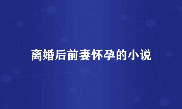 离婚后前妻怀孕的小说