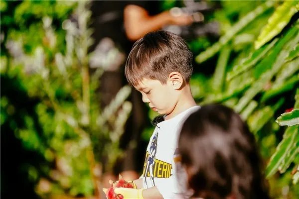 《爸爸去哪儿》第五季第二期的内容是什么？