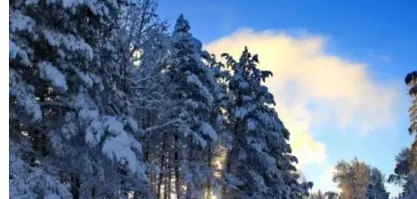 2022年下半年冷空气什么时候来