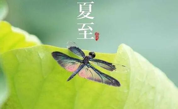 上联：冬至阳生夏至阴生，下联怎么对？