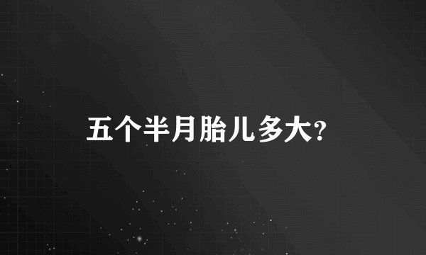 五个半月胎儿多大？