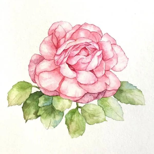 用一朵组词三个字