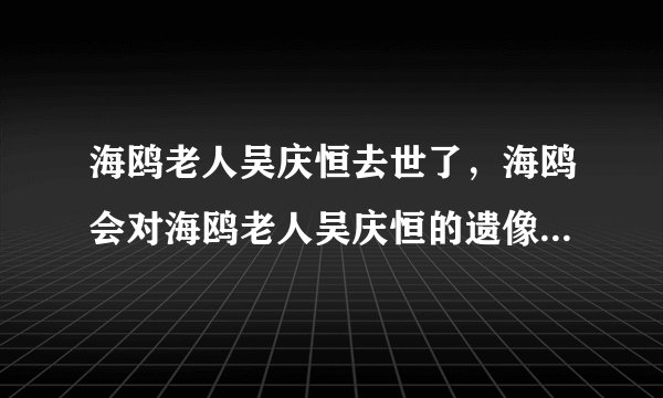 海鸥老人吴庆恒去世了，海鸥会对海鸥老人吴庆恒的遗像说什么呢？