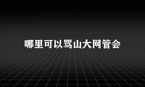 哪里可以骂山大网管会
